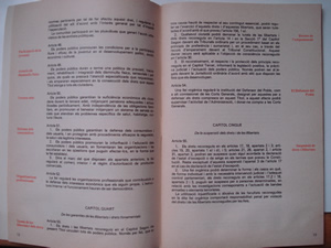 articles de la Constitució